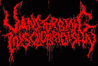 logo Vanstorbing Insolobridishn